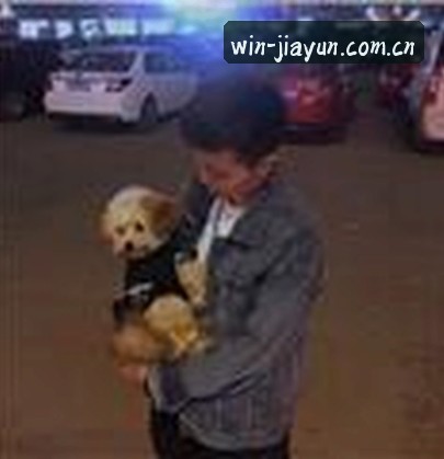 张婷